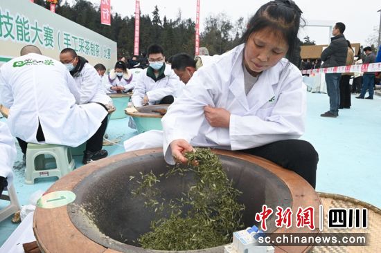 參賽選手正在進行炒茶比賽。記者 劉忠俊 攝 參賽選手正在進行炒茶比賽。記者 劉忠俊 攝