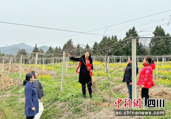 志愿者向農(nóng)戶傳授獼猴桃春季管理技術(shù)。梓潼縣融媒體中心供圖 志愿者向農(nóng)戶傳授獼猴桃春季管理技術(shù)。梓潼縣融媒體中心供圖