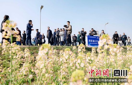 現場觀摩會。四川省農業科學院供圖 現場觀摩會。四川省農業科學院供圖