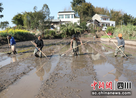 苗床開廂。長寧縣融媒體中心供圖 苗床開廂。長寧縣融媒體中心供圖