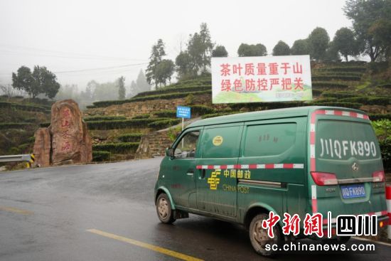 高縣郵政分公司到落潤鎮蜀山茶海攬收茶包。萬興美 攝 高縣郵政分公司到落潤鎮蜀山茶海攬收茶包。萬興美 攝
