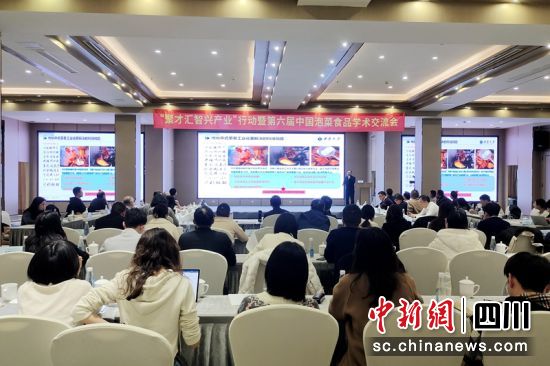 學術交流會現場。東坡融媒供圖 學術交流會現場。東坡融媒供圖