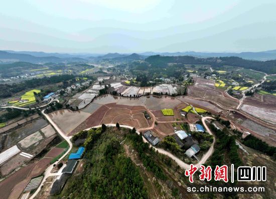 嘉陵區龍蟠鎮下張村高標準農田。 何萌 攝 嘉陵區龍蟠鎮下張村高標準農田。 何萌 攝