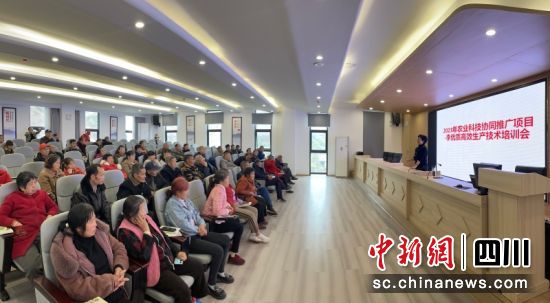 正在培訓現場。劉倩 攝 正在培訓現場。劉倩 攝