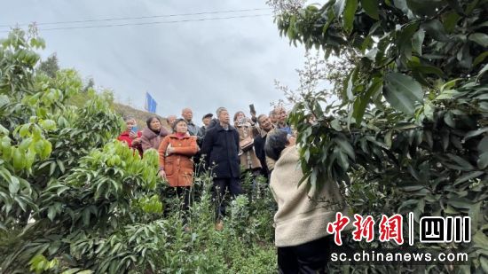 正在果園里實操培訓。劉倩 攝 正在果園里實操培訓。劉倩 攝
