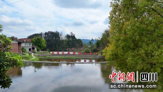 稻蝦種養(yǎng)基地。李媛媛攝 稻蝦種養(yǎng)基地。李媛媛攝