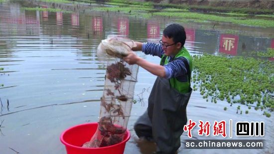 劉偉正在起蝦籠。李媛媛攝 劉偉正在起蝦籠。李媛媛攝
