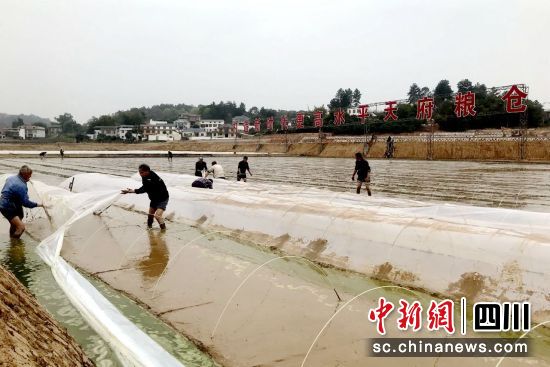 春耕備耕掀熱潮。瀘縣融媒體中心供圖 春耕備耕掀熱潮。瀘縣融媒體中心供圖