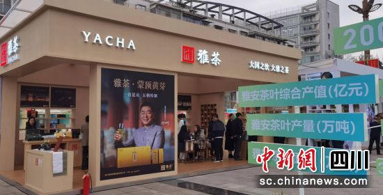 雅茶展示。劉剛 攝 雅茶展示。劉剛 攝
