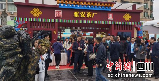 參觀品鑒雅茶。 劉剛 攝 參觀品鑒雅茶。 劉剛 攝