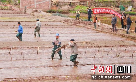 春耕備耕現場。沿灘融媒 供圖 春耕備耕現場。沿灘融媒 供圖