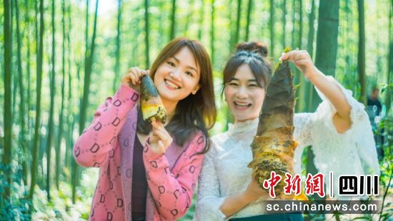 游客收獲春筍很開心。蜀南文旅集團 供圖 游客收獲春筍很開心。蜀南文旅集團 供圖
