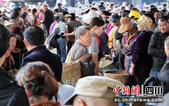 合江村新茶交易現場。 毛晏 供圖 合江村新茶交易現場。 毛晏 供圖
