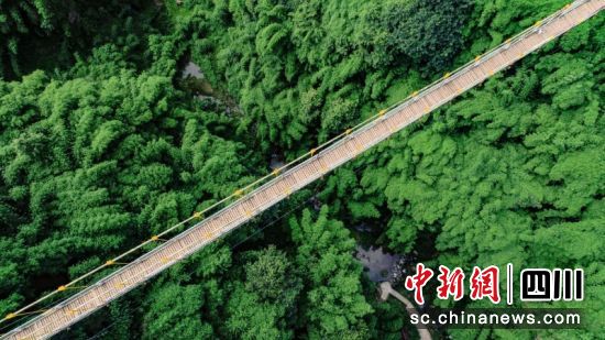 川西竹海景區。王杰 攝 川西竹海景區。王杰 攝