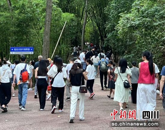 清明小長假川西竹海景區游客大增。邛崍市文旅局供圖 清明小長假川西竹海景區游客大增。邛崍市文旅局供圖