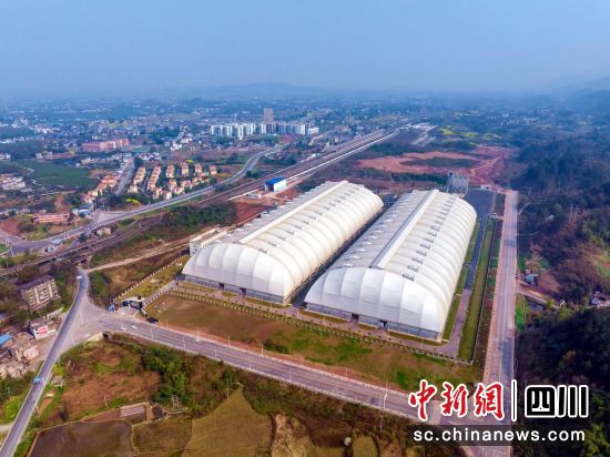 儲備煤基地。川煤集團 供圖 儲備煤基地。川煤集團 供圖