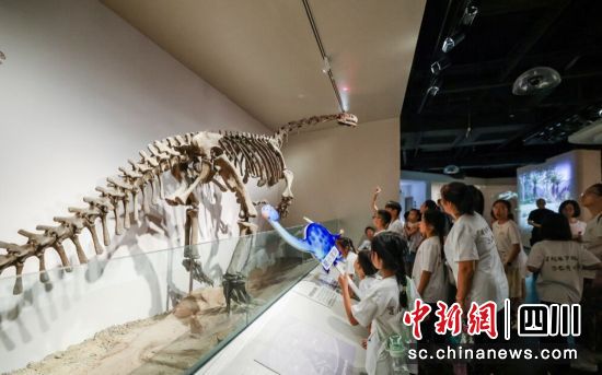 研學活動現場。自貢恐龍博物館 供圖 研學活動現場。自貢恐龍博物館 供圖