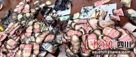 被燒得面目全非的現金。農行阿壩縣支行 供圖 被燒得面目全非的現金。農行阿壩縣支行 供圖