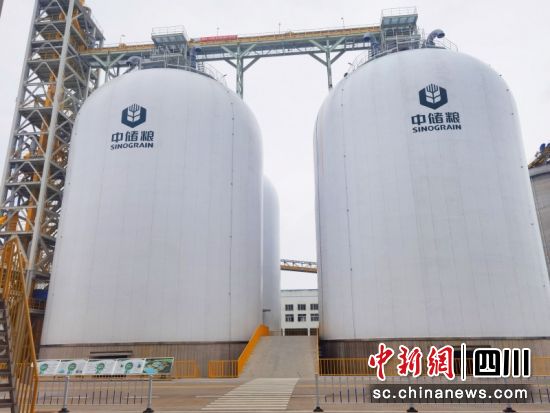 首創架空式糧食氣膜倉。成都儲藏院 供圖 首創架空式糧食氣膜倉。成都儲藏院 供圖