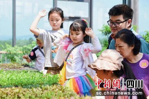 活動現場。中國農業科學院都市農業研究所供圖 活動現場。中國農業科學院都市農業研究所供圖