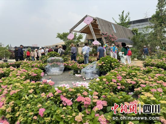 開園儀式現場,吸引眾游客打卡。王爵 攝 開園儀式現場,吸引眾游客打卡。王爵 攝