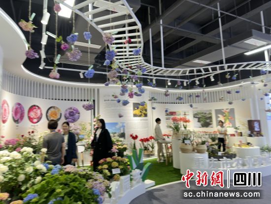 特色場館打卡。王爵 攝 特色場館打卡。王爵 攝