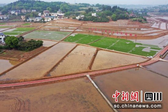 加快推進海潮環都市農業示范區。瀘縣融媒體中心供圖 加快推進海潮環都市農業示范區。瀘縣融媒體中心供圖