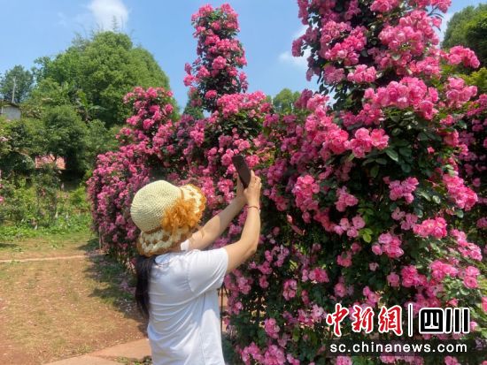 拍照打卡。 秦旭 攝 拍照打卡。 秦旭 攝