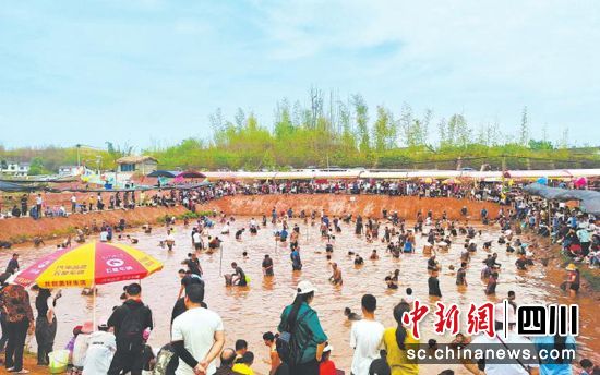 大巖村摸魚比賽。(資料圖)沿灘區委宣傳部 供圖 大巖村摸魚比賽。(資料圖)沿灘區委宣傳部 供圖