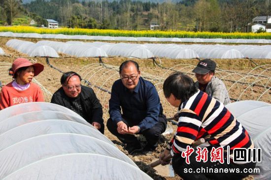 宣漢縣農機人員將技術送到田間地頭。宣漢縣委宣傳部供圖 宣漢縣農機人員將技術送到田間地頭。宣漢縣委宣傳部供圖