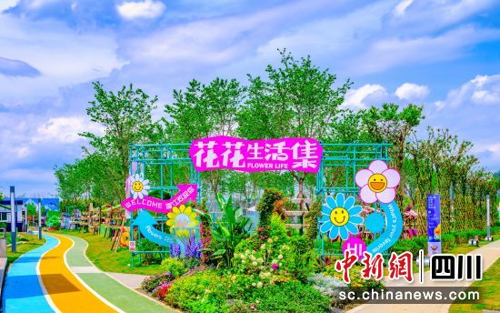 豐富多彩的活動現場。溫江區(qū)委宣傳部供圖 豐富多彩的活動現場。溫江區(qū)委宣傳部供圖