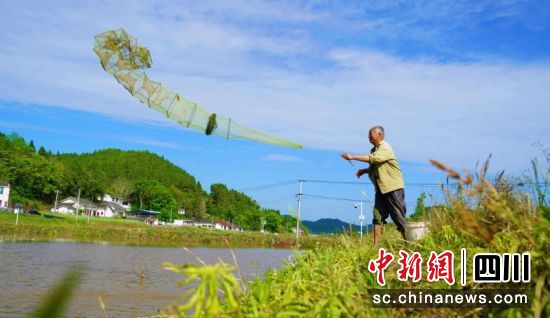 稻蝦收獲現場。衡歡 攝 稻蝦收獲現場。衡歡 攝