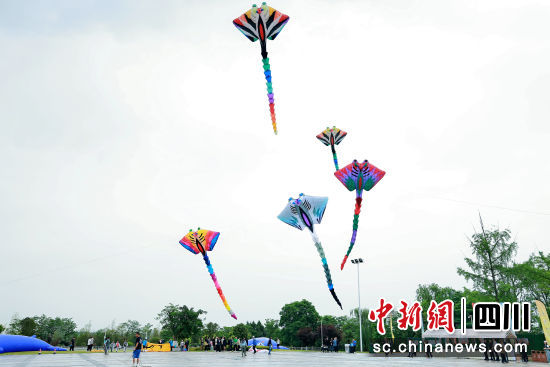 風(fēng)箏迎風(fēng)飛舞。 仙海區(qū)宣傳中心供圖 風(fēng)箏迎風(fēng)飛舞。 仙海區(qū)宣傳中心供圖