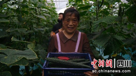 正在搬運新鮮菜品。劉倩 攝 正在搬運新鮮菜品。劉倩 攝