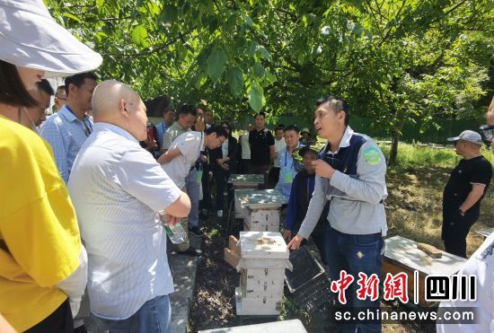 活動現場。裴玉松攝 活動現場。裴玉松攝