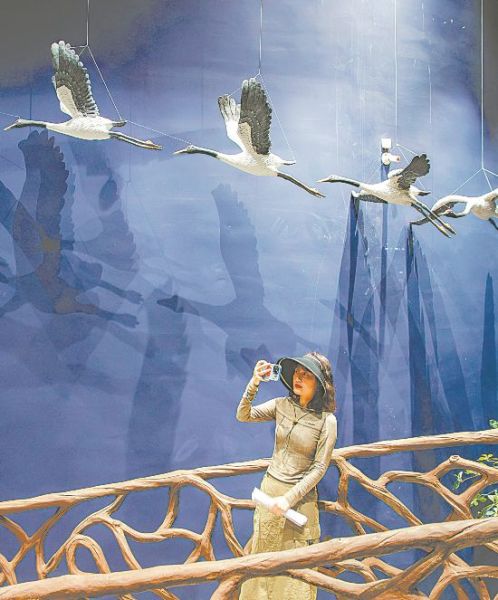 龍門山生物多樣性博覽園 龍門山生物多樣性博覽園