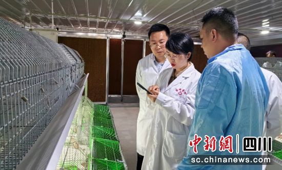 調(diào)研指導(dǎo)現(xiàn)場(chǎng)。富順融媒 供圖 調(diào)研指導(dǎo)現(xiàn)場(chǎng)。富順融媒 供圖