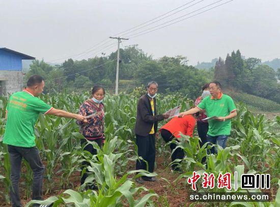 農險協保員走進田間地頭為農戶講解政策農險。平安產險四川分公司供圖 農險協保員走進田間地頭為農戶講解政策農險。平安產險四川分公司供圖