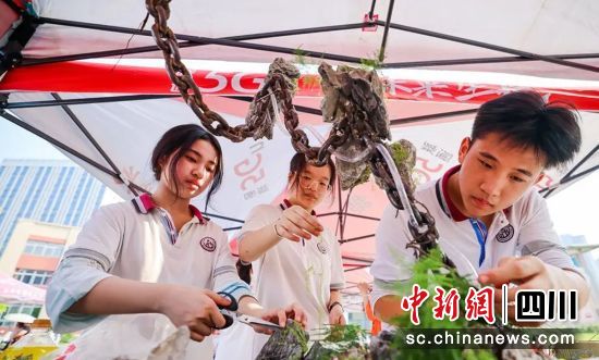 園藝比拼。富順教體局 供圖 園藝比拼。富順教體局 供圖