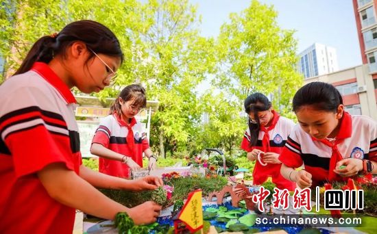 比賽現場。富順教體局 供圖 比賽現場。富順教體局 供圖