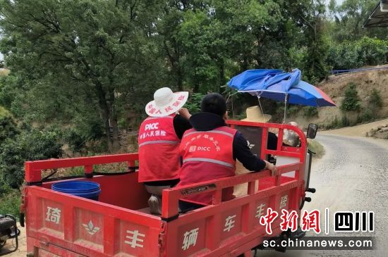 理賠人員乘坐三輪車前往芒果種植基地。四川人保財(cái)險(xiǎn)供圖 理賠人員乘坐三輪車前往芒果種植基地。四川人保財(cái)險(xiǎn)供圖