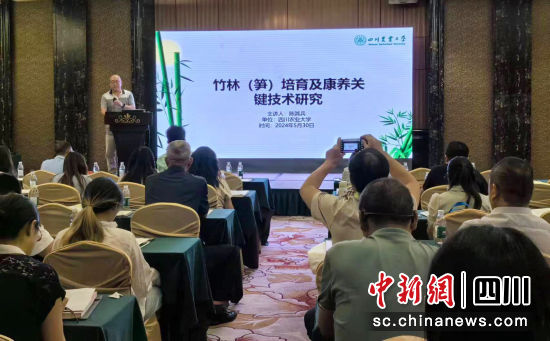 研討會現(xiàn)場。 安源 攝 研討會現(xiàn)場。 安源 攝
