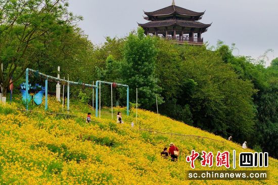 游客在瀘州長江生態(tài)濕地公園賞花。廖勝春 攝 游客在瀘州長江生態(tài)濕地公園賞花。廖勝春 攝