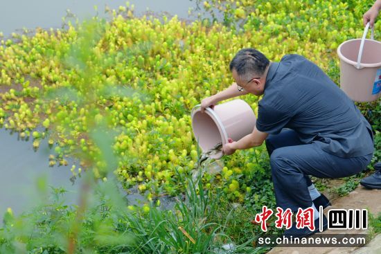 活動現場。 什邡市人民法院供圖 活動現場。 什邡市人民法院供圖