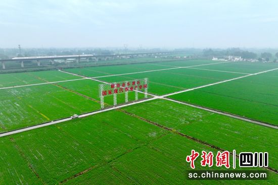 眉山東坡區(qū)太和鎮(zhèn)永豐村一角。記者 劉忠俊 攝 眉山東坡區(qū)太和鎮(zhèn)永豐村一角。記者 劉忠俊 攝