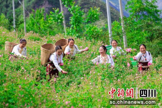村美民富的鄉村畫巻。小金縣委宣傳部供圖 村美民富的鄉村畫巻。小金縣委宣傳部供圖