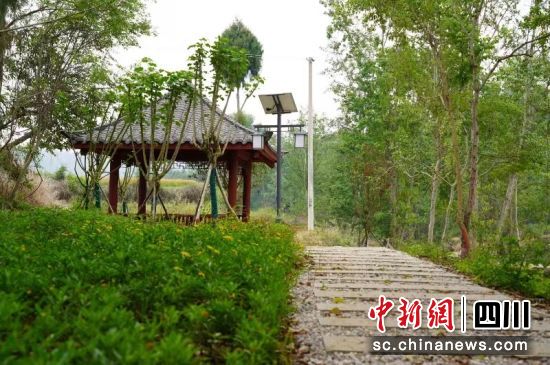 八洞橋新建生態(tài)步道、岸線煥然一新。 江油市委宣傳部供圖 八洞橋新建生態(tài)步道、岸線煥然一新。 江油市委宣傳部供圖