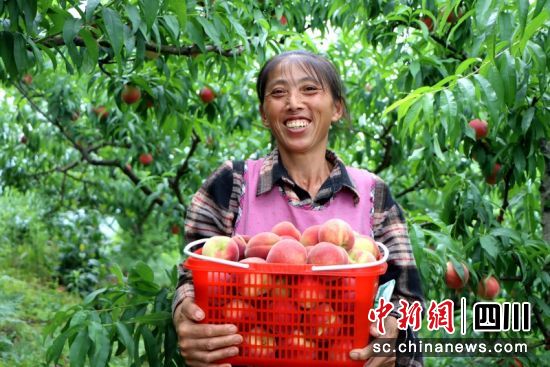 豐收的喜悅。羅景萍 攝 豐收的喜悅。羅景萍 攝