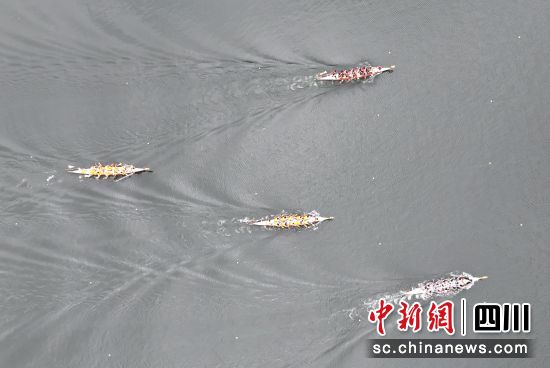 比賽現場。王超明 攝 比賽現場。王超明 攝