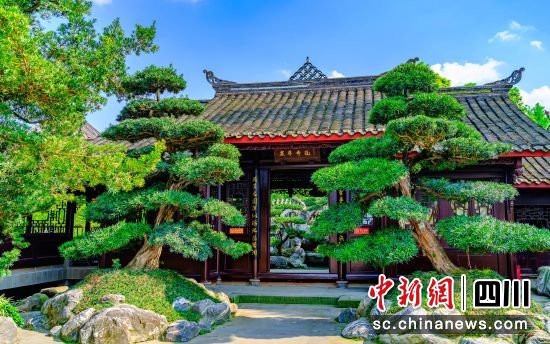 成都世園會溫江分會場。溫江區委宣傳部供圖 成都世園會溫江分會場。溫江區委宣傳部供圖